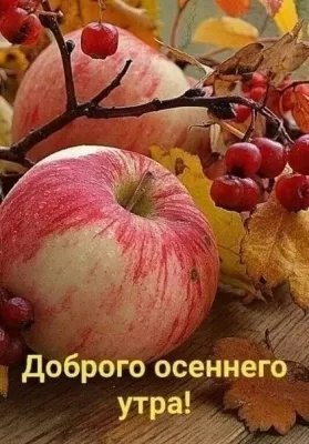  - 7  2022  07:28