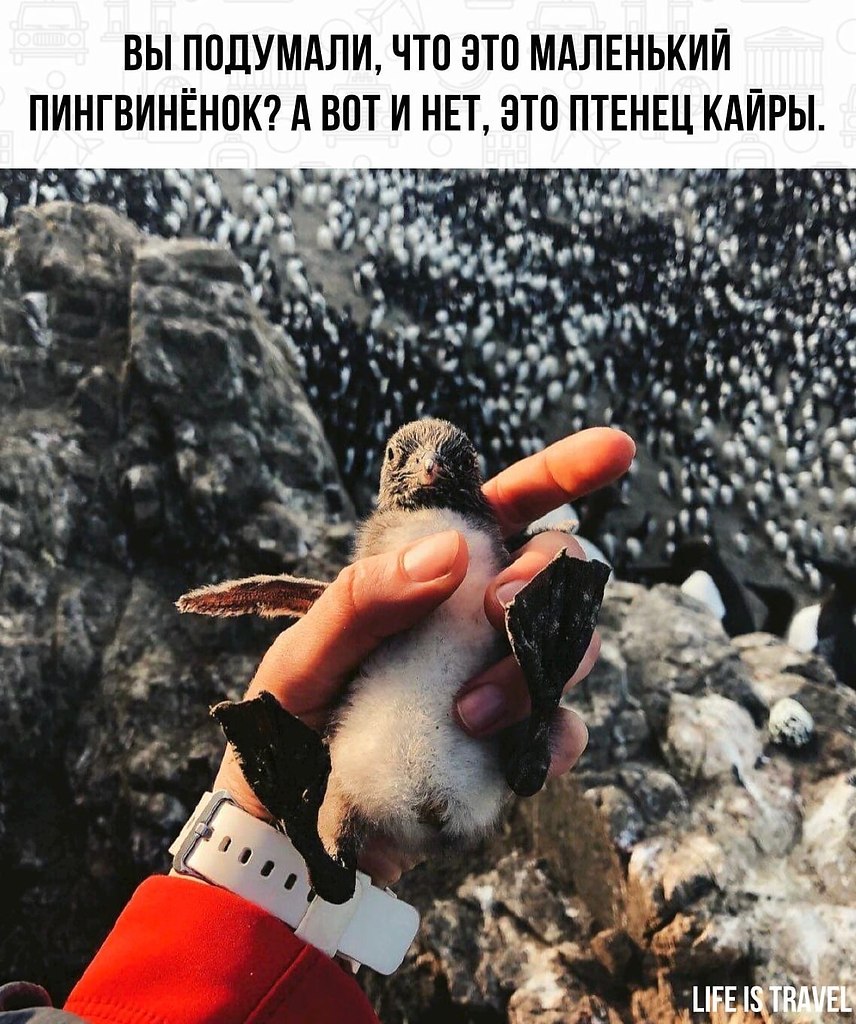 LIFE -  - 6  2022  00:11