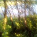 ���� ���������, ��������, 57 ��� - ��������� 20 ��� 2022