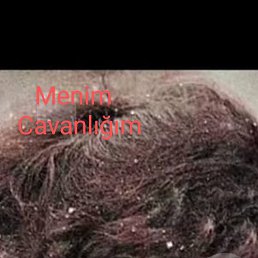 ���� �����, �����������, 46 ��� - ��������� 9 ������ 2023