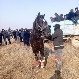 ���� �����, �����, 44 ���� - ��������� 4 ������ 2023