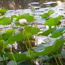 ���� �������, ���������, 66 ��� - ��������� 30 ������� 2022 � ������ ���� ����������