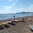  , , 71  -  25  2022   . 