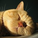 ���� ��������, ������, 66 ��� - ��������� 28 ������� 2022 � ������ ���� ����������