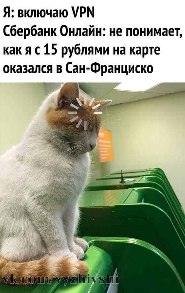 ***Victoria Viktorovna*** - 22  2022  04:34