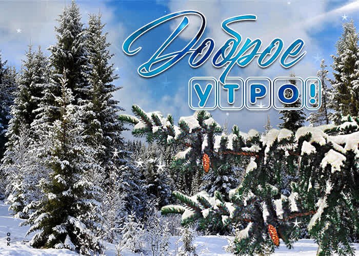 ***Victoria Viktorovna*** - 22  2023  06:21