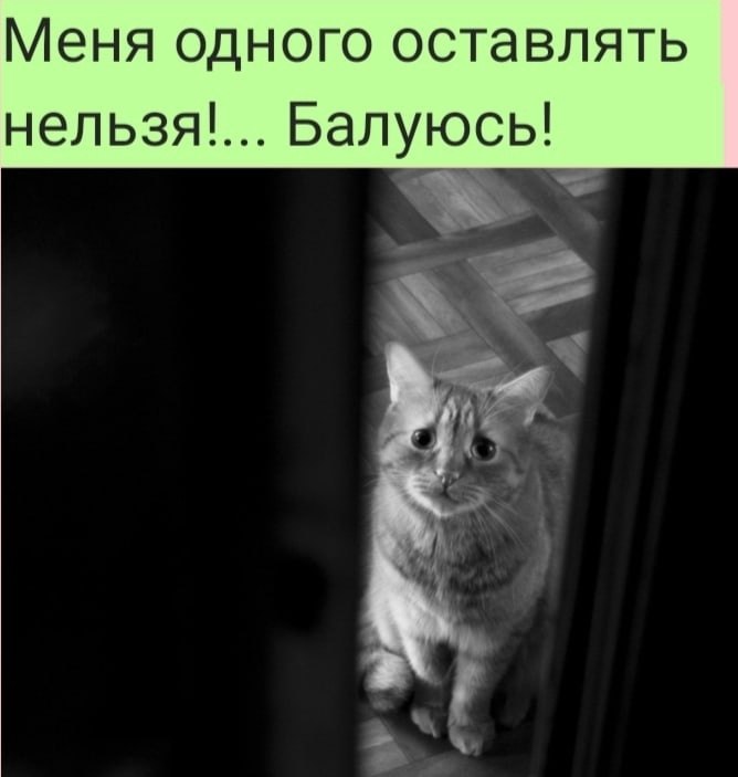  :D - 30  2022  08:58