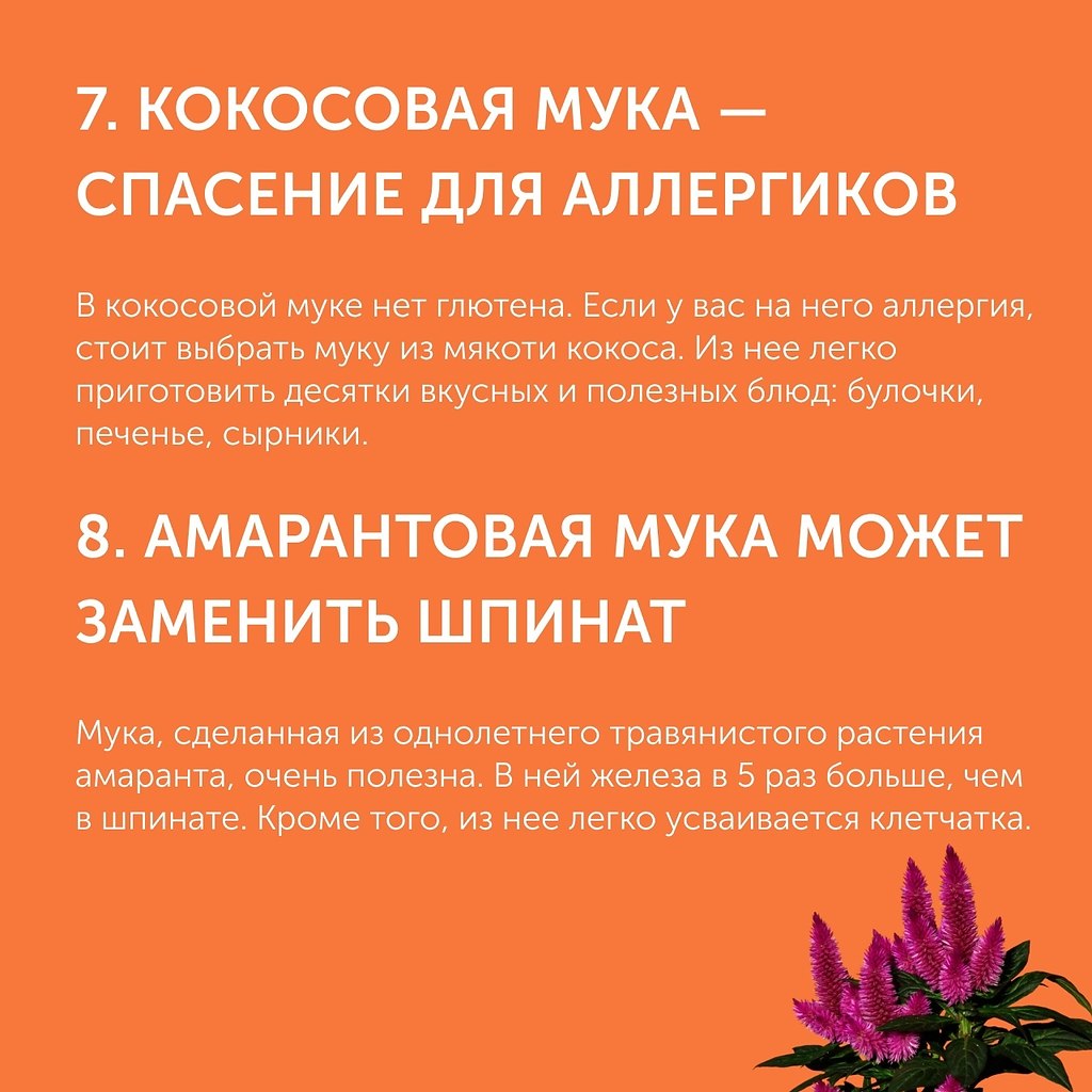 10    :        .    ... - 5