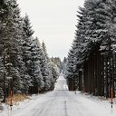 ���� �����, ����, 40 ��� - ��������� 1 ������� 2022 � ������ ����� 2022 (17:12 1/12/2022)�