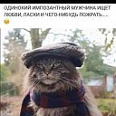 ���� ������, ������� ��������, 64 ���� - ��������� 8 ������� 2022