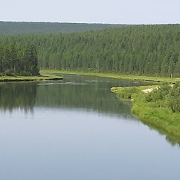 ������, ��������, 49 ���