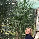 ���� ��������, ����, 53 ���� - ��������� 27 ������� 2022 � ������ ���� ����������