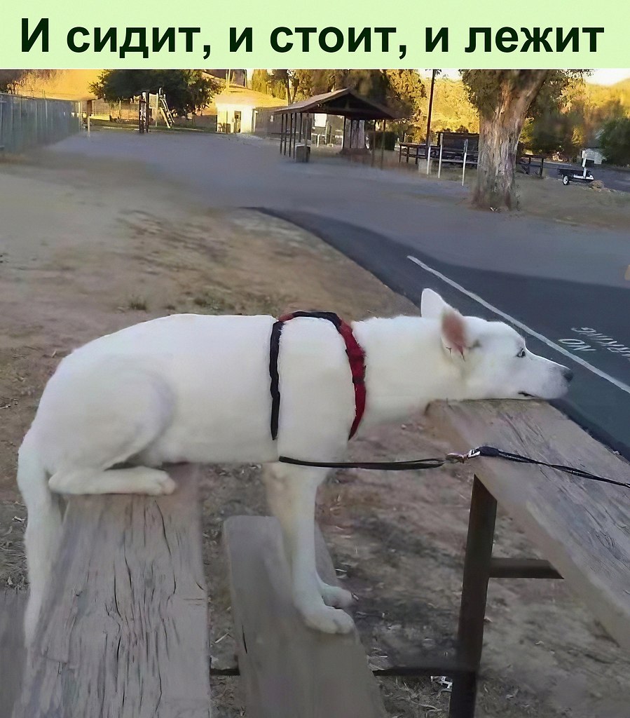 ...  