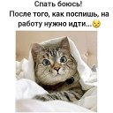 ���� ���������, ����������� - ��������� 27 ������ 2022 � ������ ���� ����������