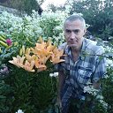 ���� ������, �������, 51 ��� - ��������� 15 ������� 2023