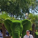 ���� �����, ������, 53 ���� - ��������� 7 ���� 2022 � ������ ���� ����������