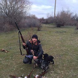 �������, ��������, 33 ����