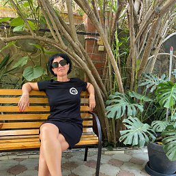 ���� ������, ��������� - ��������� 12 �������� 2022