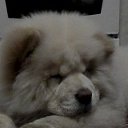 ���� �����, �����������, 52 ���� - ��������� 6 ������� 2022