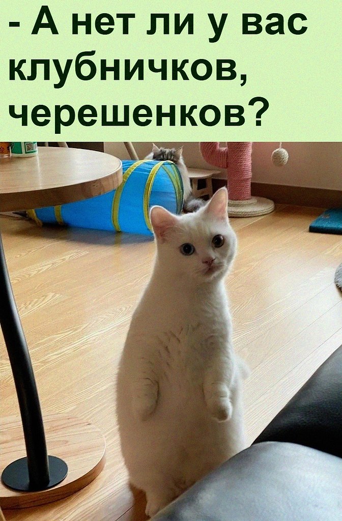 , .      