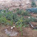 ���� ������, �����, 55 ��� - ��������� 3 ���� 2022 � ������ ���� ����������