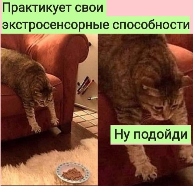   :D - 9  2022  08:59