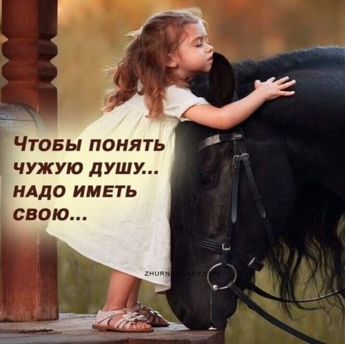 ������������� ���� - 24 ��� 2022 � 10:54