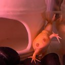 ���� Elena, �������� - ��������� 13 ��� 2022 � ������ �������������