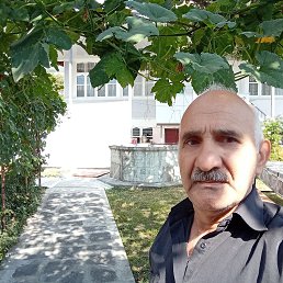 ���� �����, ����, 66 ��� - ��������� 24 �������� 2022