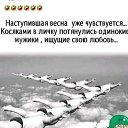 ���� ������, ������, 63 ���� - ��������� 8 ������ 2022 � ������ �������