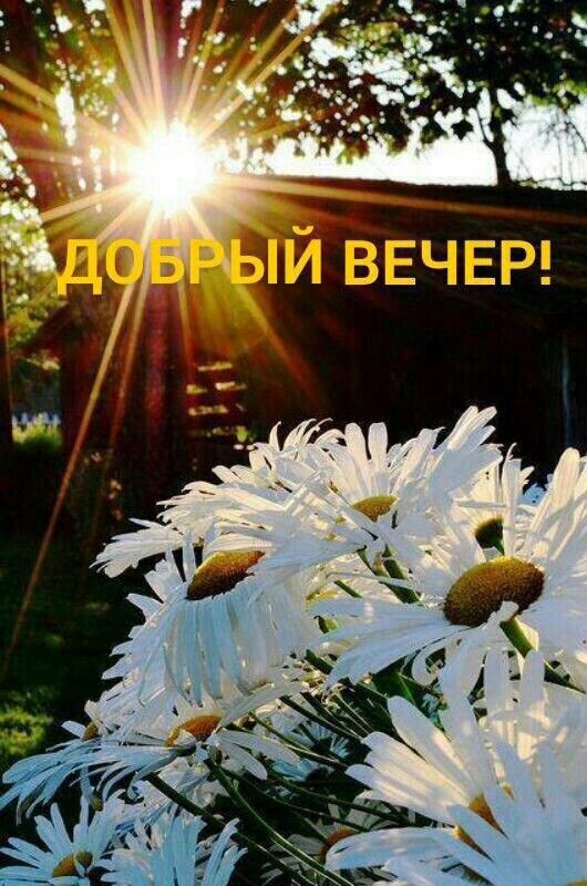   ! - 10  2022  17:56