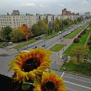 ���� ������, �����-���������, 56 ��� - ��������� 22 ������� 2022 � ������ ���� ����������