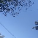  , , 38  -  31  2022    