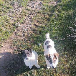 ���� �������, �������, 33 ���� - ��������� 8 ������� 2023