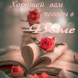  , , 40  -  8  2022
