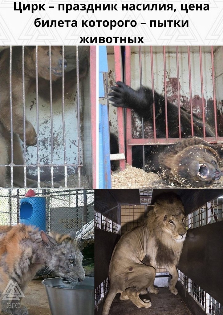 ��� | ����������, ������������ - 27 ������ 2022 � 11:26