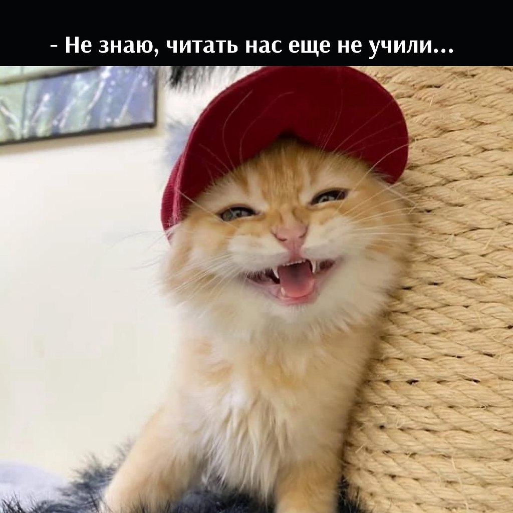       - 23  2022  16:21 - 3