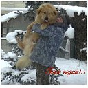 ���� ����, �����-��������� - ��������� 14 ������ 2023 � ������ ���� ����������