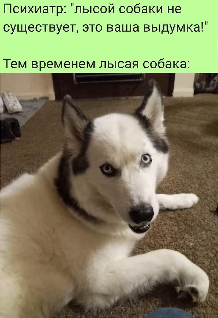   :D - 12  2022  09:10