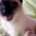 ���� Ivan, �������, 69 ��� - ��������� 3 ������� 2023 � ������ ���� ����������