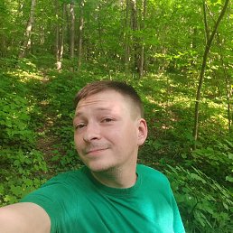 , 32, 