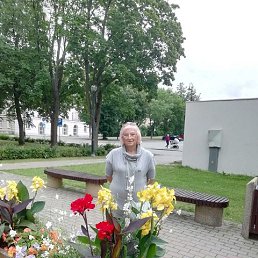 ���� ������, ������ - ��������� 12 ������� 2022