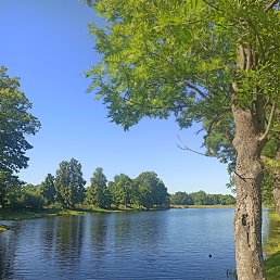 ���� ��������, �����-���������, 69 ��� - ��������� 27 ������ 2022