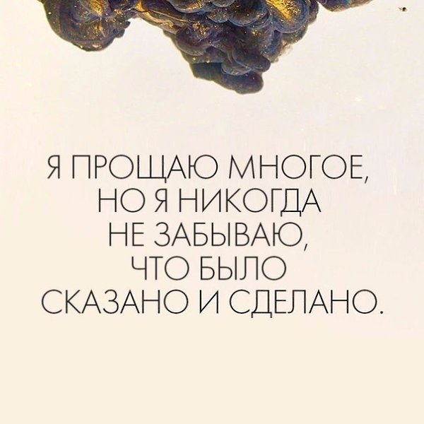 ������� ������ ����������� - 7 ������� 2023 � 13:12
