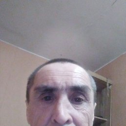 , 53 , 