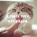 ���� Dima, ����� - ��������� 2 ������ 2023 � ������ ������ ��������