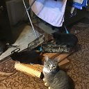 ���� ��������� 8), �����-��������� - ��������� 31 ������� 2022 � ������ ������� ������� 2022�