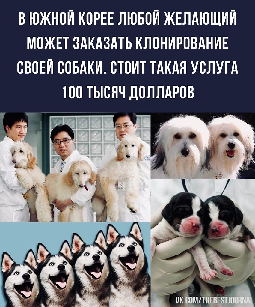 BEST | , ,  - 2  2022  15:05