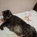 ���� �������, ���������, 61 ��� - ��������� 5 ������� 2023 � ������ ���� ����������