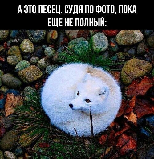    - 10  2023  20:39